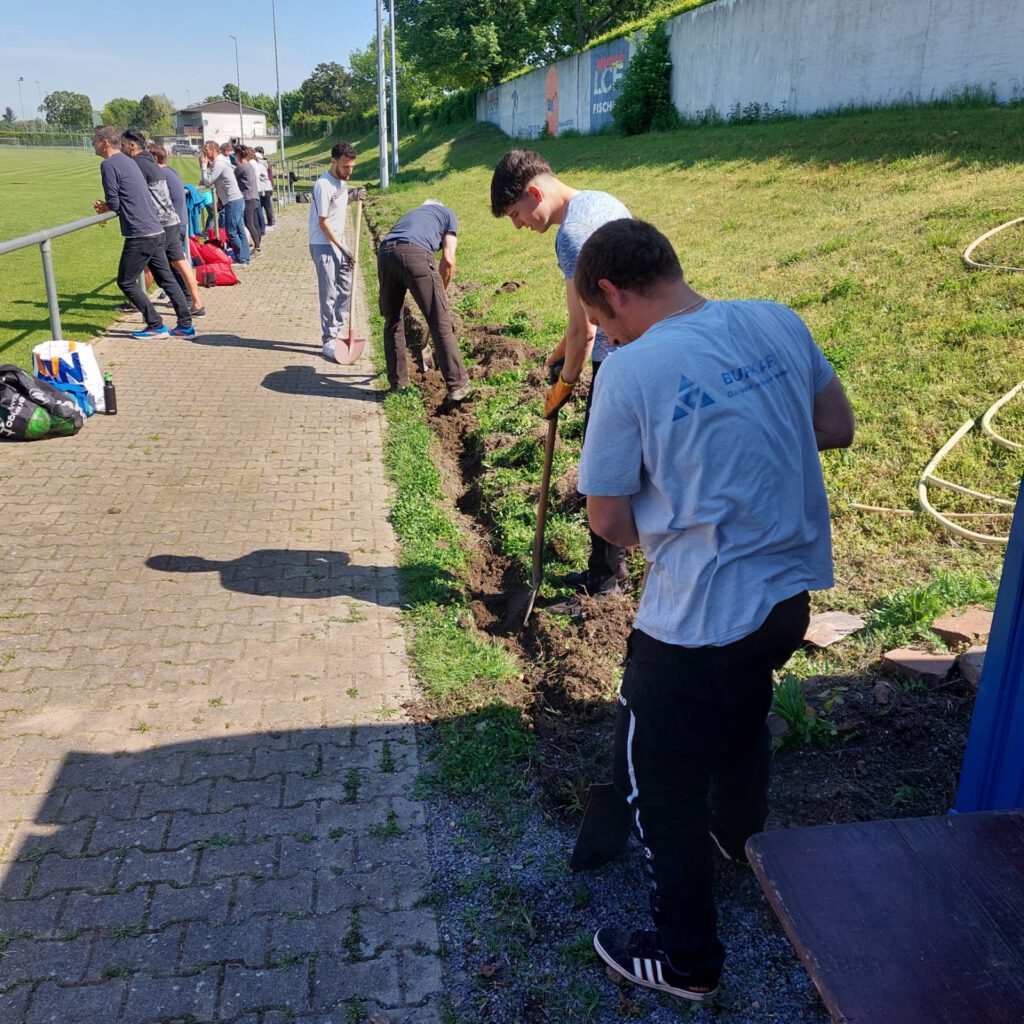 Ausgrabungen beim FC West